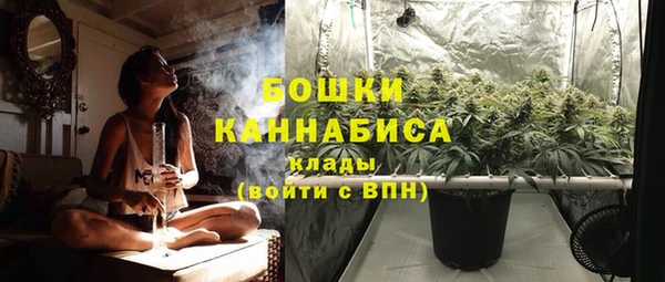 ешки Арсеньев